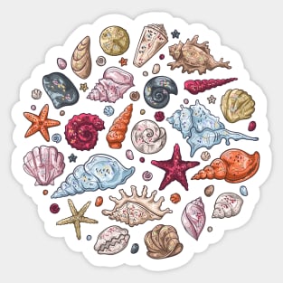 Seashells different types hand drawn Sticker